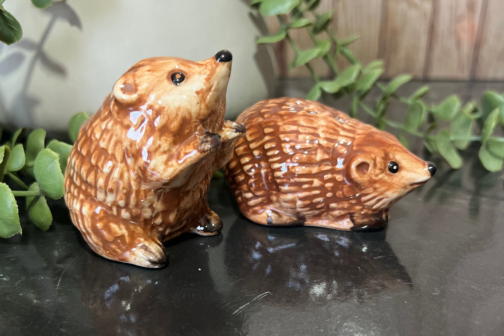 Hedgehog salt and pepper shakers in ceramic with charming design, perfect for kitchen decor.