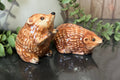 Hedgehog salt and pepper shakers in ceramic with charming design, perfect for kitchen decor.