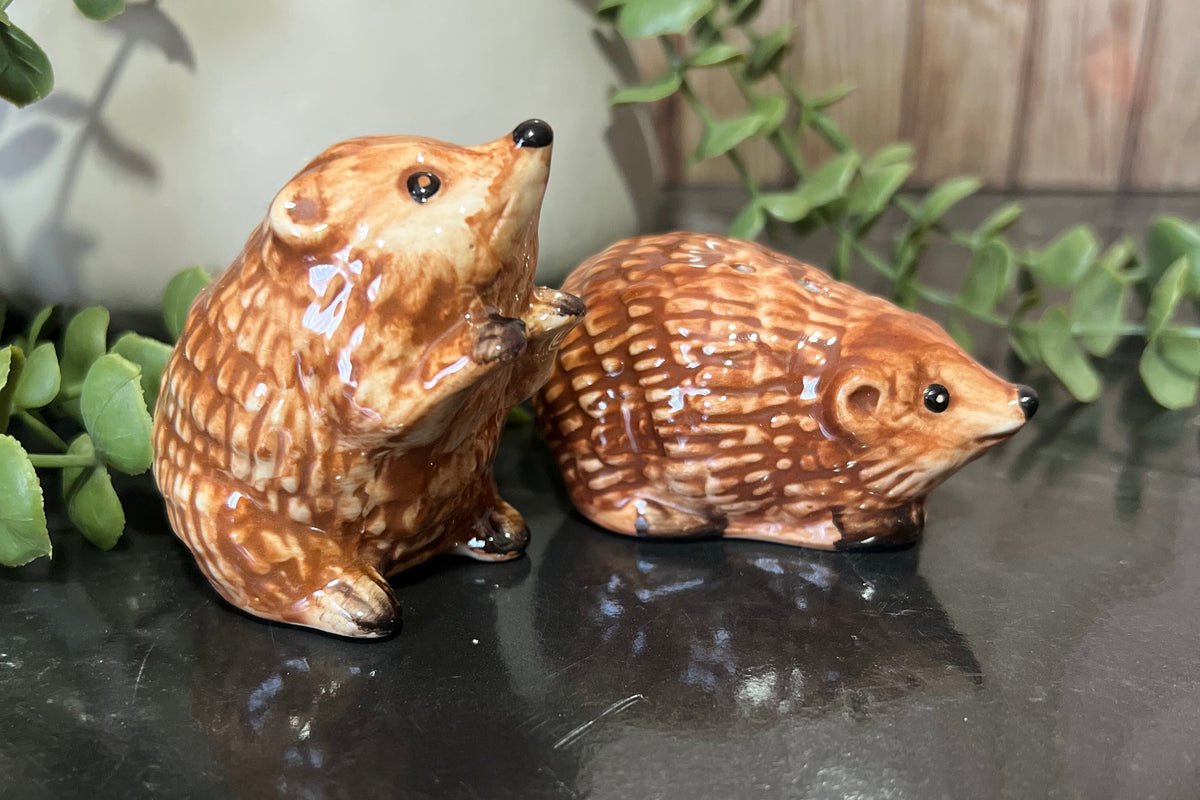 Hedgehog salt and pepper shakers in ceramic with charming design, perfect for kitchen decor.