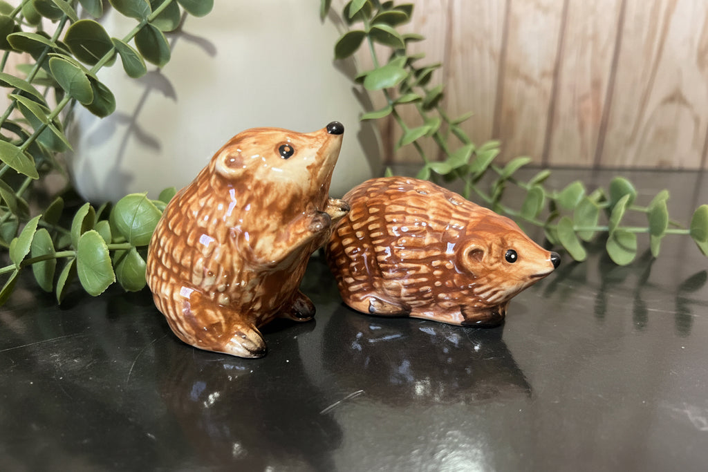 Hedgehog salt and pepper shakers ceramic figurines with charming designs for kitchen decor.