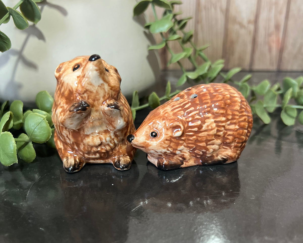 Hedgehog salt and pepper shakers featuring a cute hedgehog and charming bear design, perfect for kitchen décor.