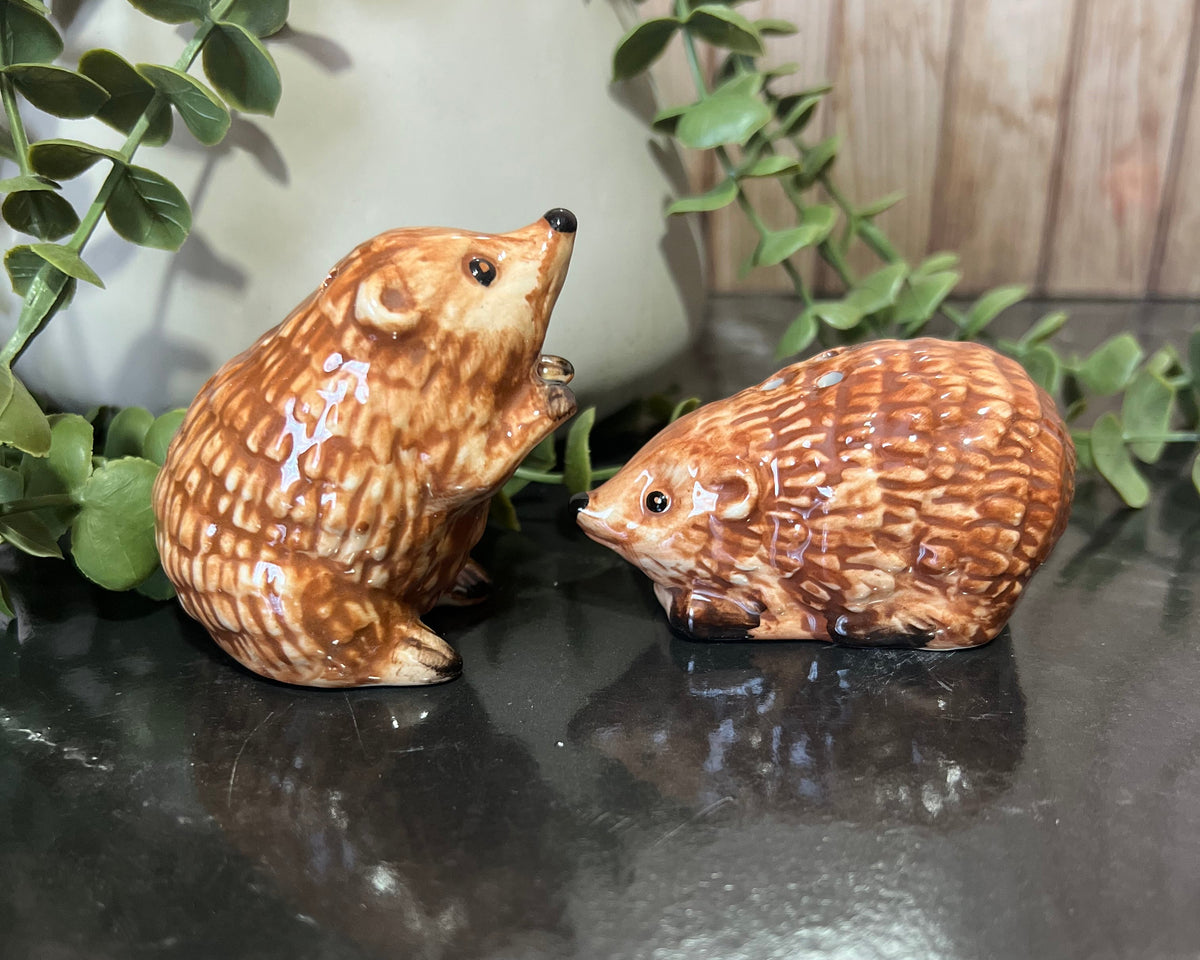 Cute hedgehog salt and pepper shakers in ceramic, perfect for adding charm to the kitchen.