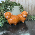 Highland cow salt and pepper shakers crafted from ceramic, featuring charming long-horned design and rustic appeal.