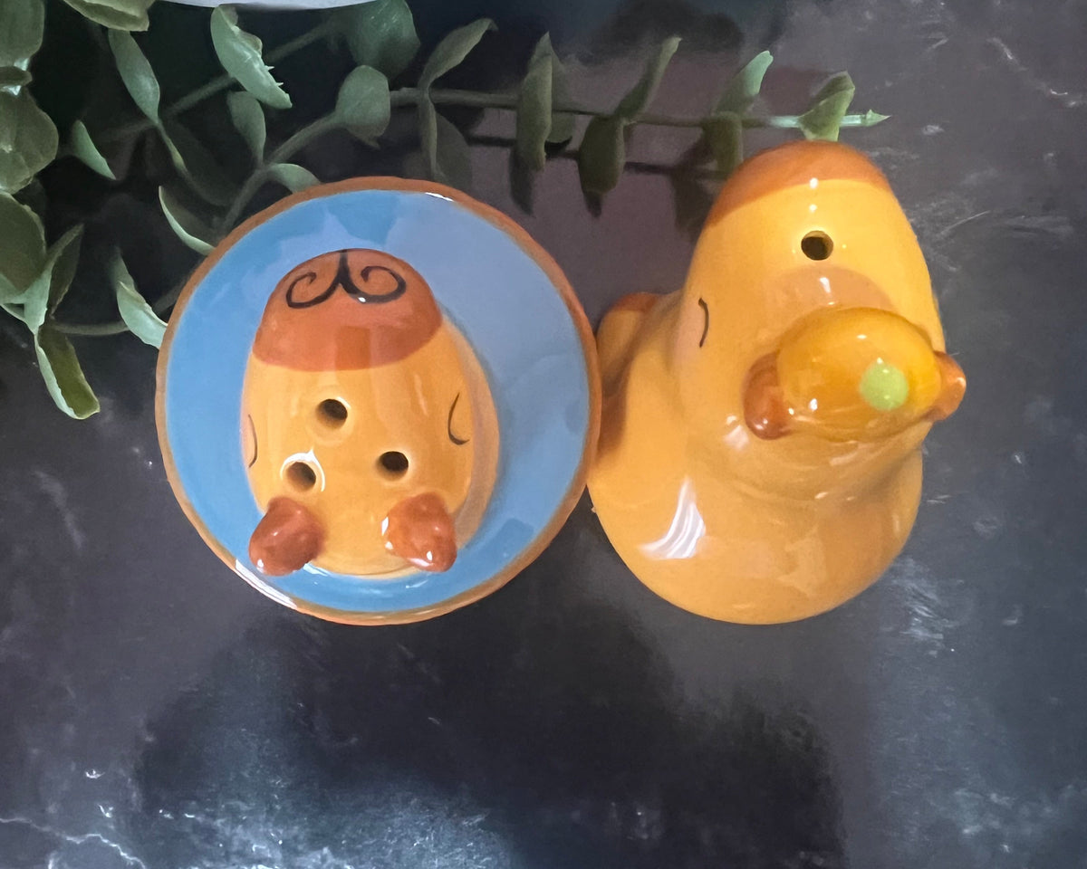 capybara salt and pepper shakers featuring whimsical ceramic design and playful details