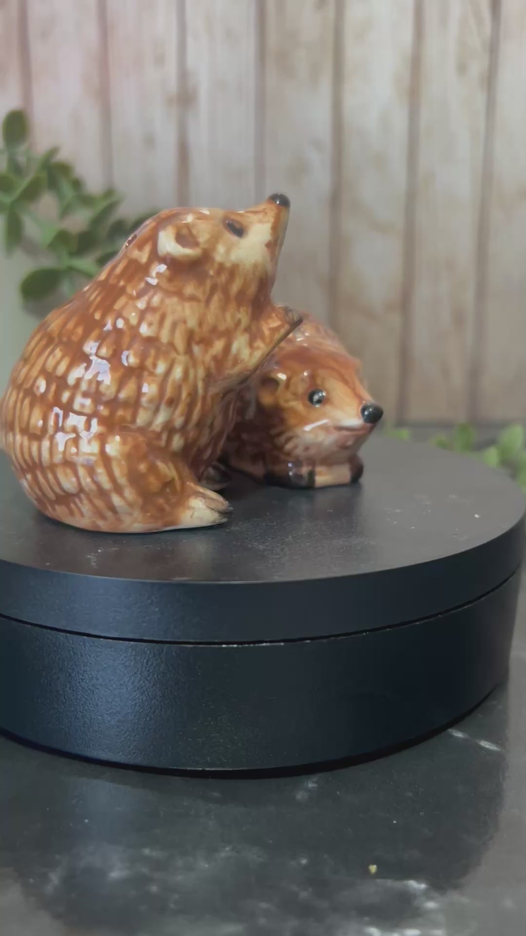 hedgehog salt and pepper shakers video