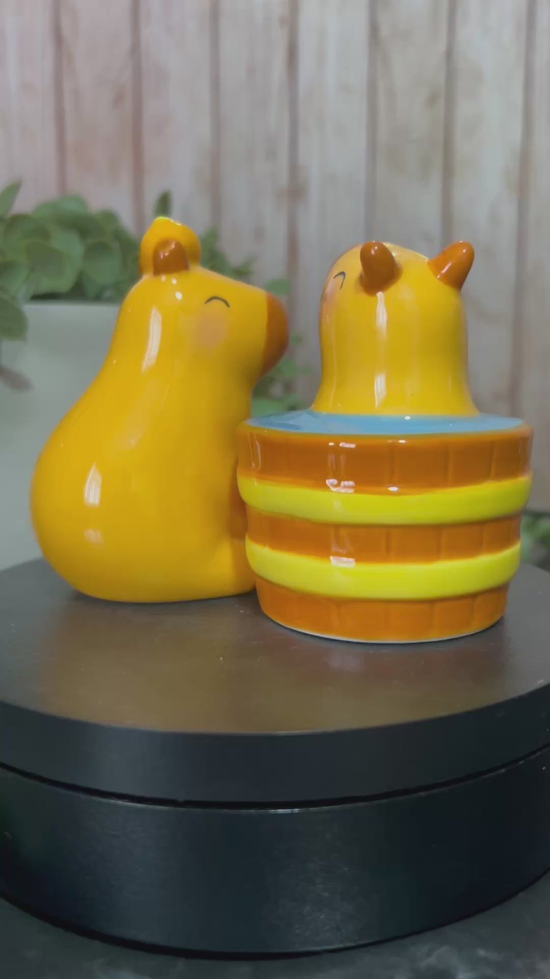 capybara video