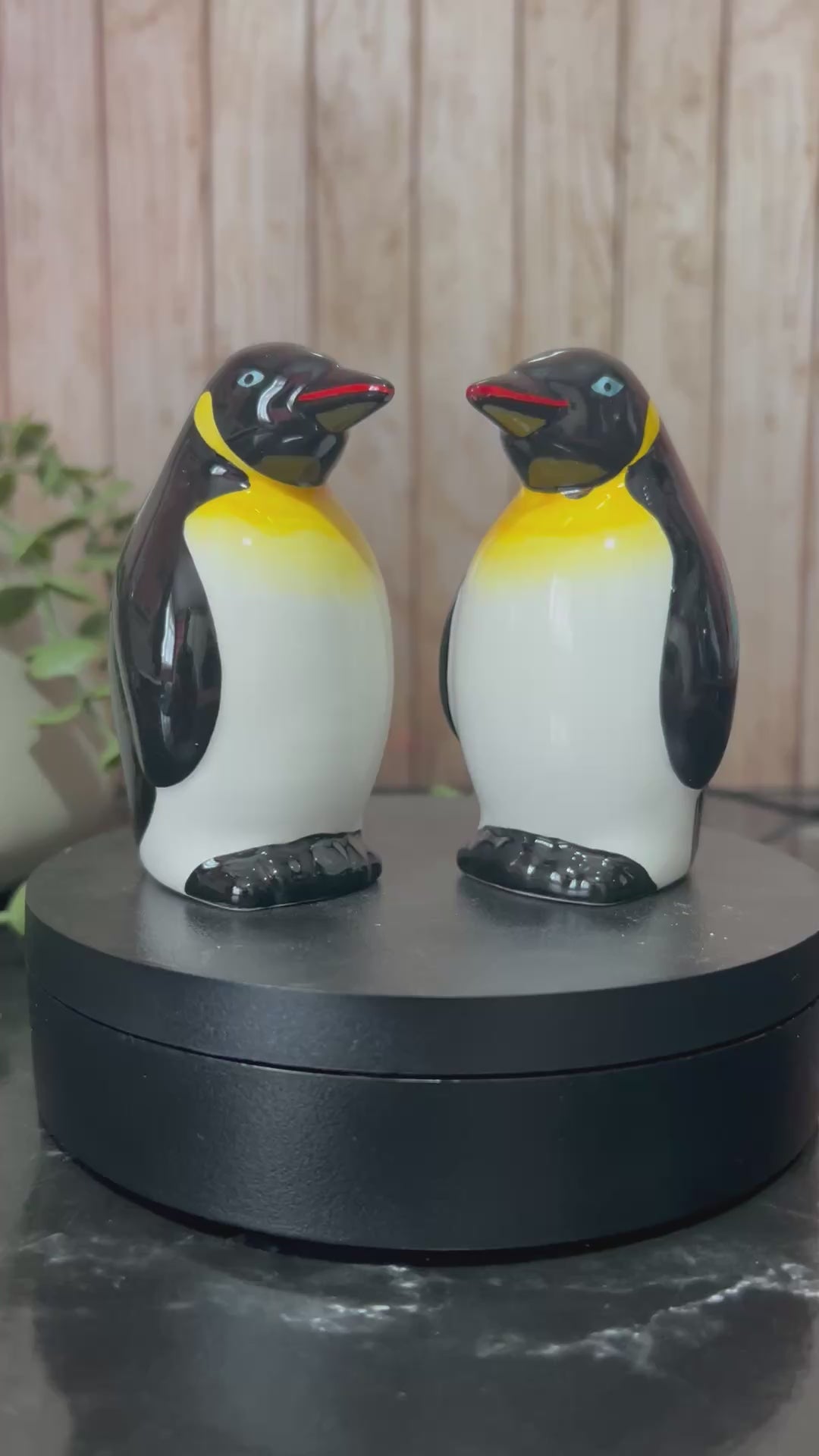penguin salt and pepper video